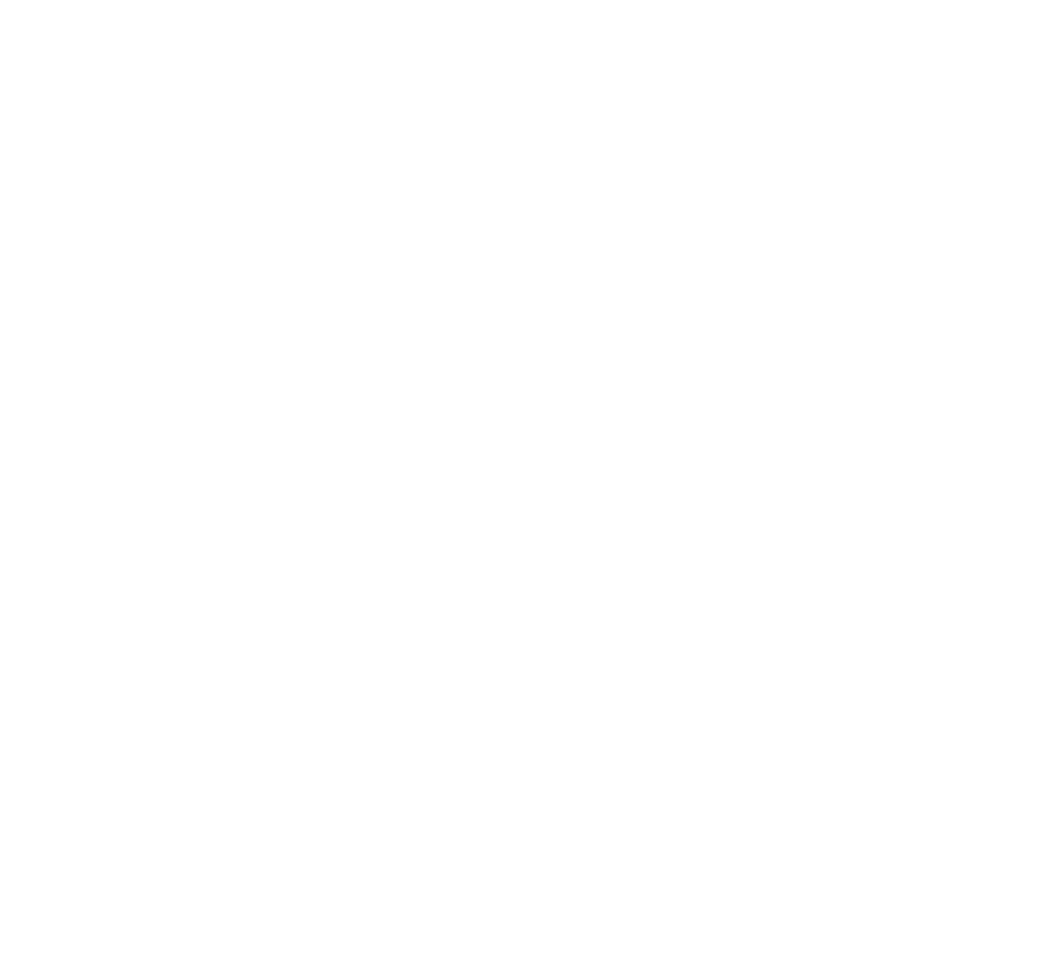 BastionSolutions Logo